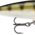 Yellow Perch