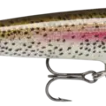 Live Rainbow Trout