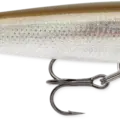 Live Smelt