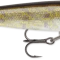 Live Walleye