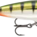 Nordic Perch