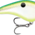 Citrus Shad