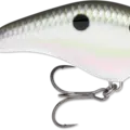 Green Gizzard Shad