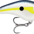 Helsinki Shad