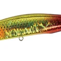 Mullet Burning Gold