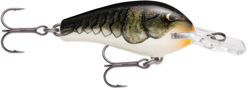 Rapala Fat Rap