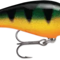 Perch