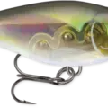 Olive Ghost