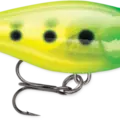 Glass Slimy Lime