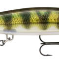 Live Perch