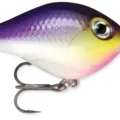 Purpledescent