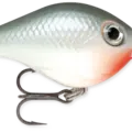 Shad