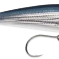 Mullet