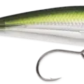Pilchard