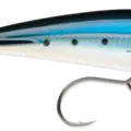 Blue Sardine