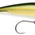 Gold Olive