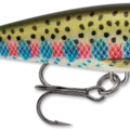 Rainbow Trout