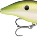 Bruised Citrus Shad