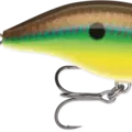 Bream