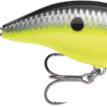 Chartreuse Black
