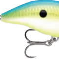 Citrus Shad