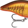 Dark Brown Crawdad
