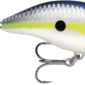 Helsinki Shad