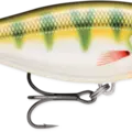 Gilded Yellow Perch