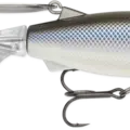 Black Back Shad