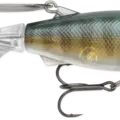 True Gill
