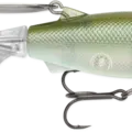 Green Gizzard Shad