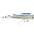 Anchovy