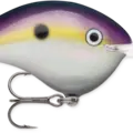Big Shad
