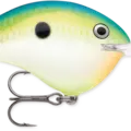 Citrus Shad