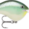 Blue Back Herring