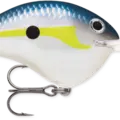 Helsinki Shad