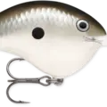 Pearl Grey Shiner