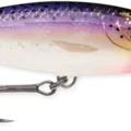 Purpledescent