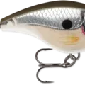 Pearl Grey Shiner
