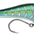 Bigeye Scad