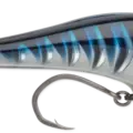 Silver Blue Mackerel