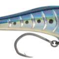Blue Sardine