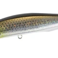 Flashy MulletⅡ