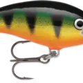 Perch