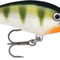 Yellow Perch