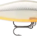 Bone