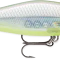 Bud