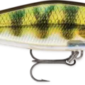 Live Perch
