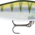 Yellow Perch