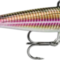 Live Smelt